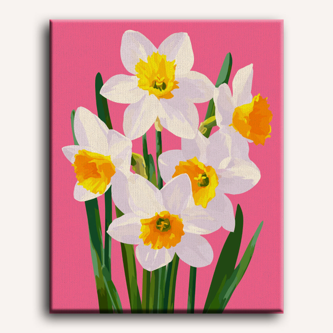 Spring Daffodils in Bloom