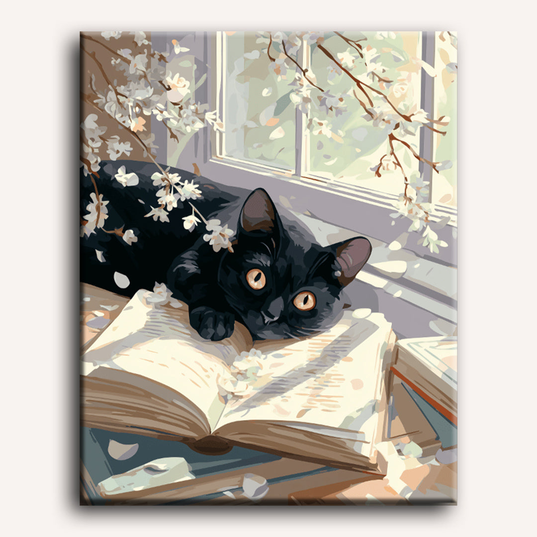 Storybook & Cherry Blossoms