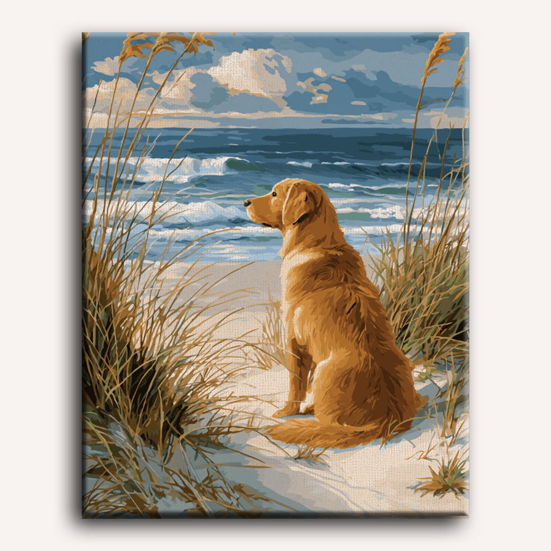 Labrador by the Shore | Paint by Number